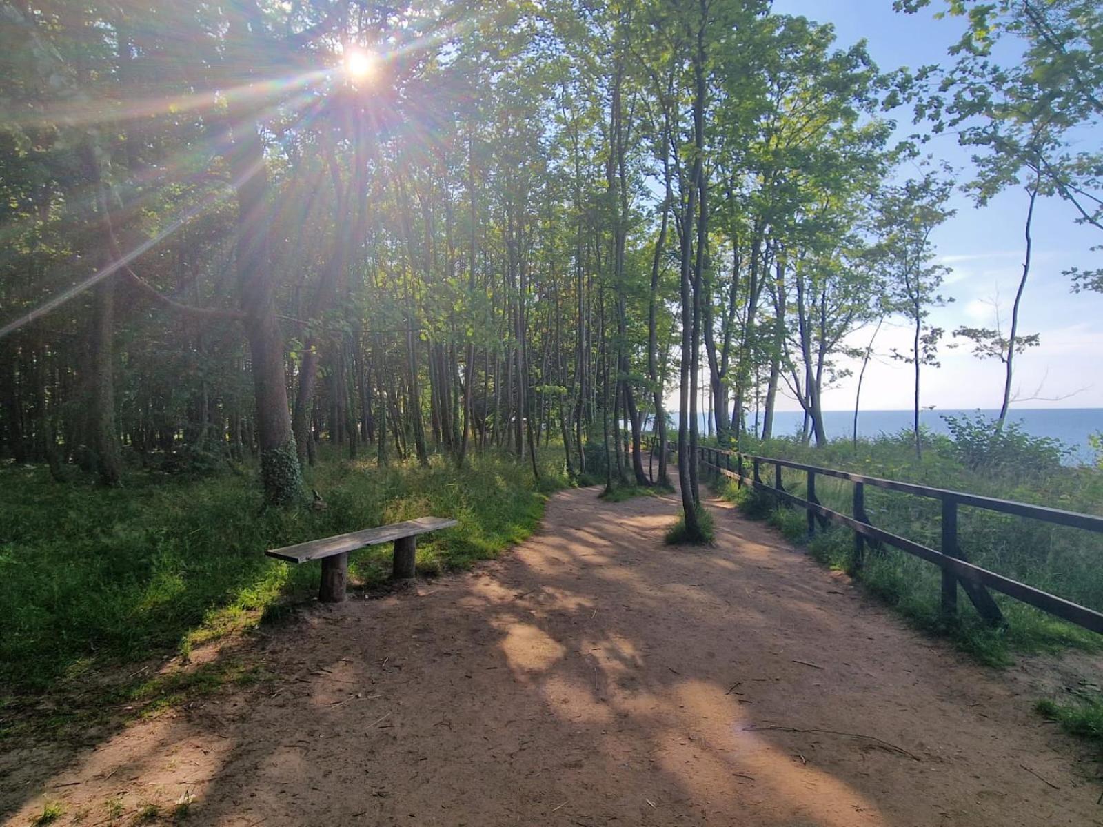 Osrodek Promenada- Domki Jastrzębia Góra Extérieur photo