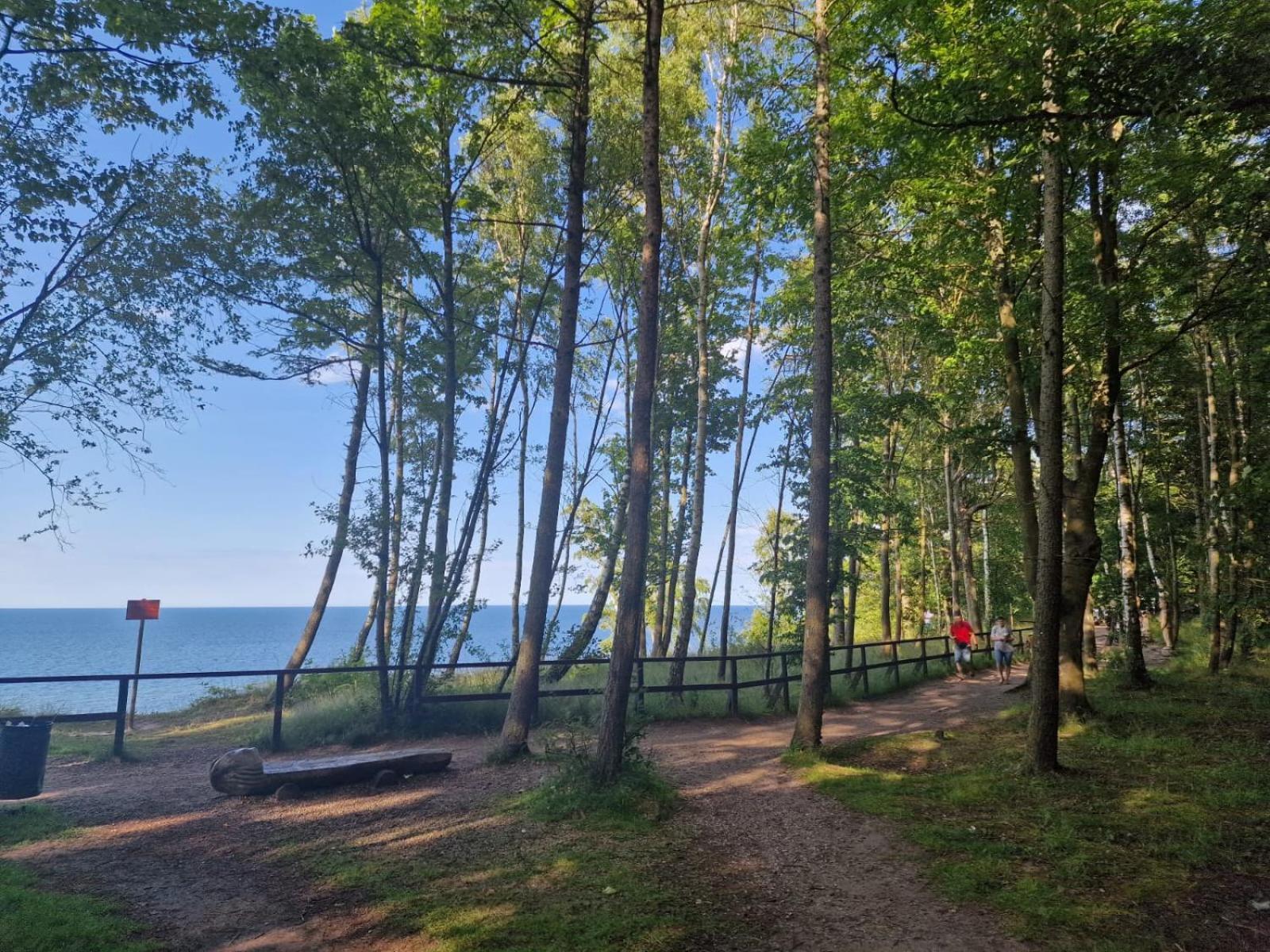 Osrodek Promenada- Domki Jastrzębia Góra Extérieur photo