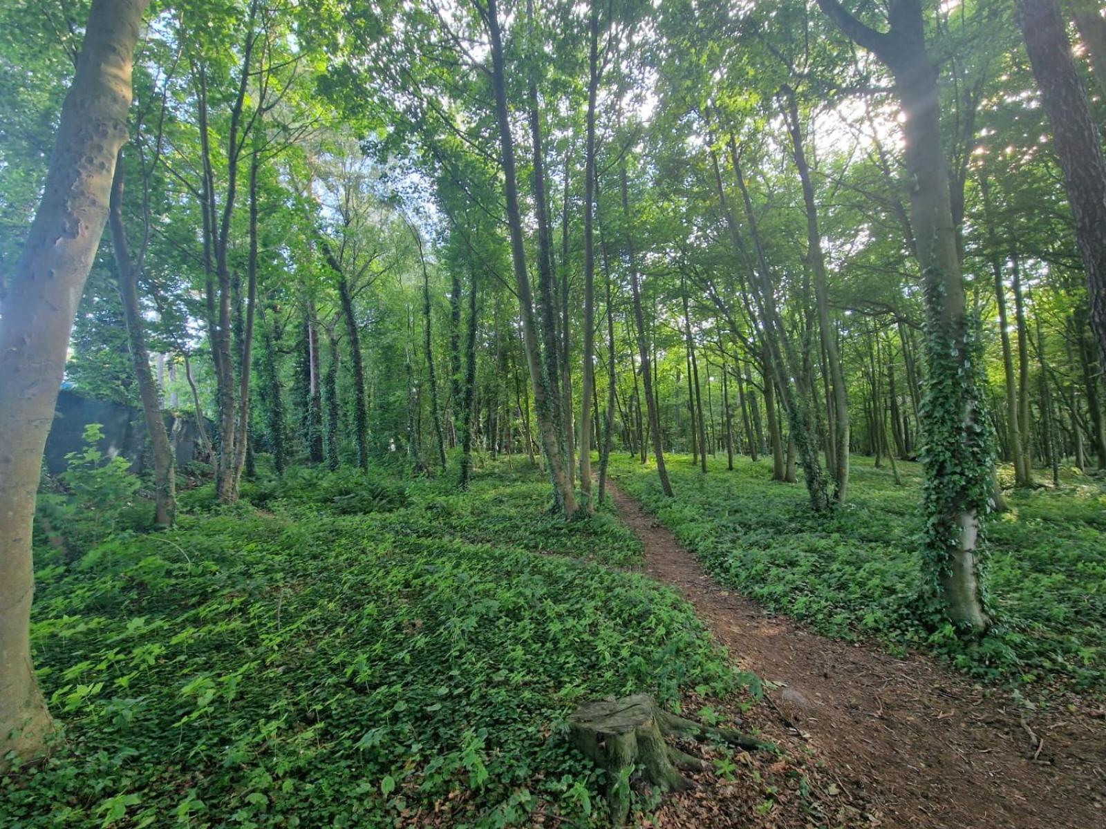 Osrodek Promenada- Domki Jastrzębia Góra Extérieur photo
