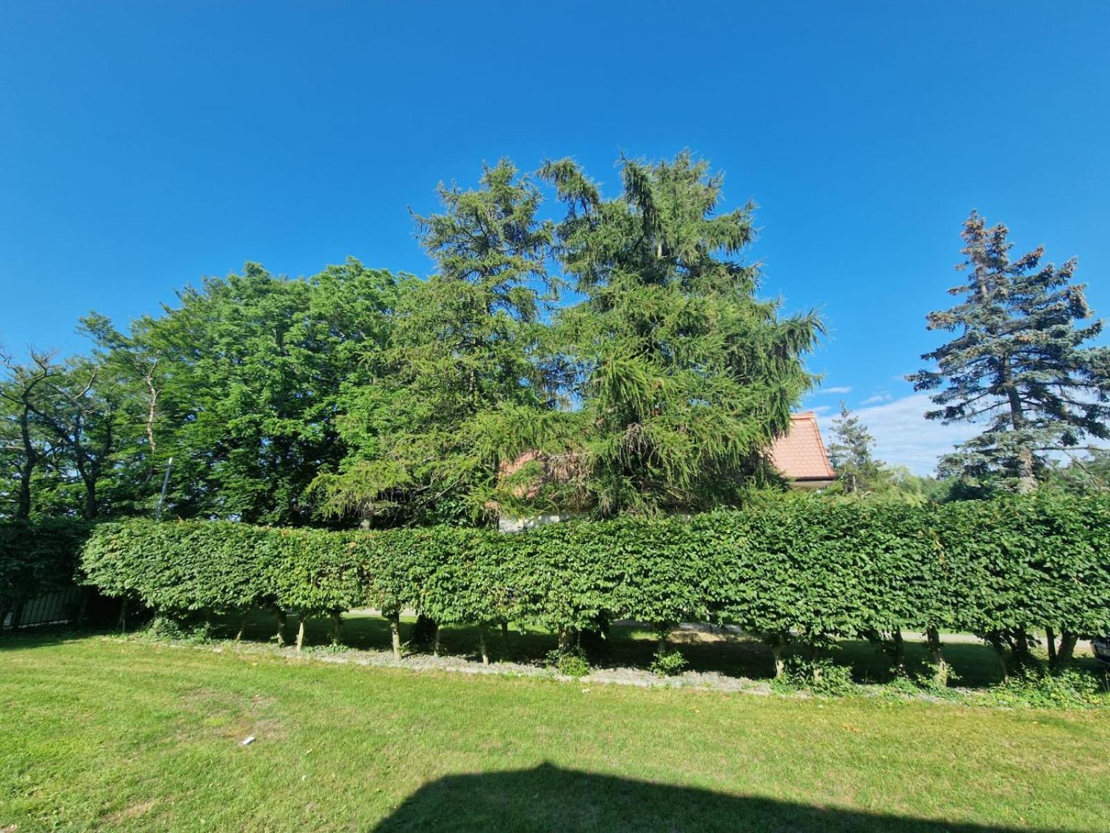 Osrodek Promenada- Domki Jastrzębia Góra Extérieur photo