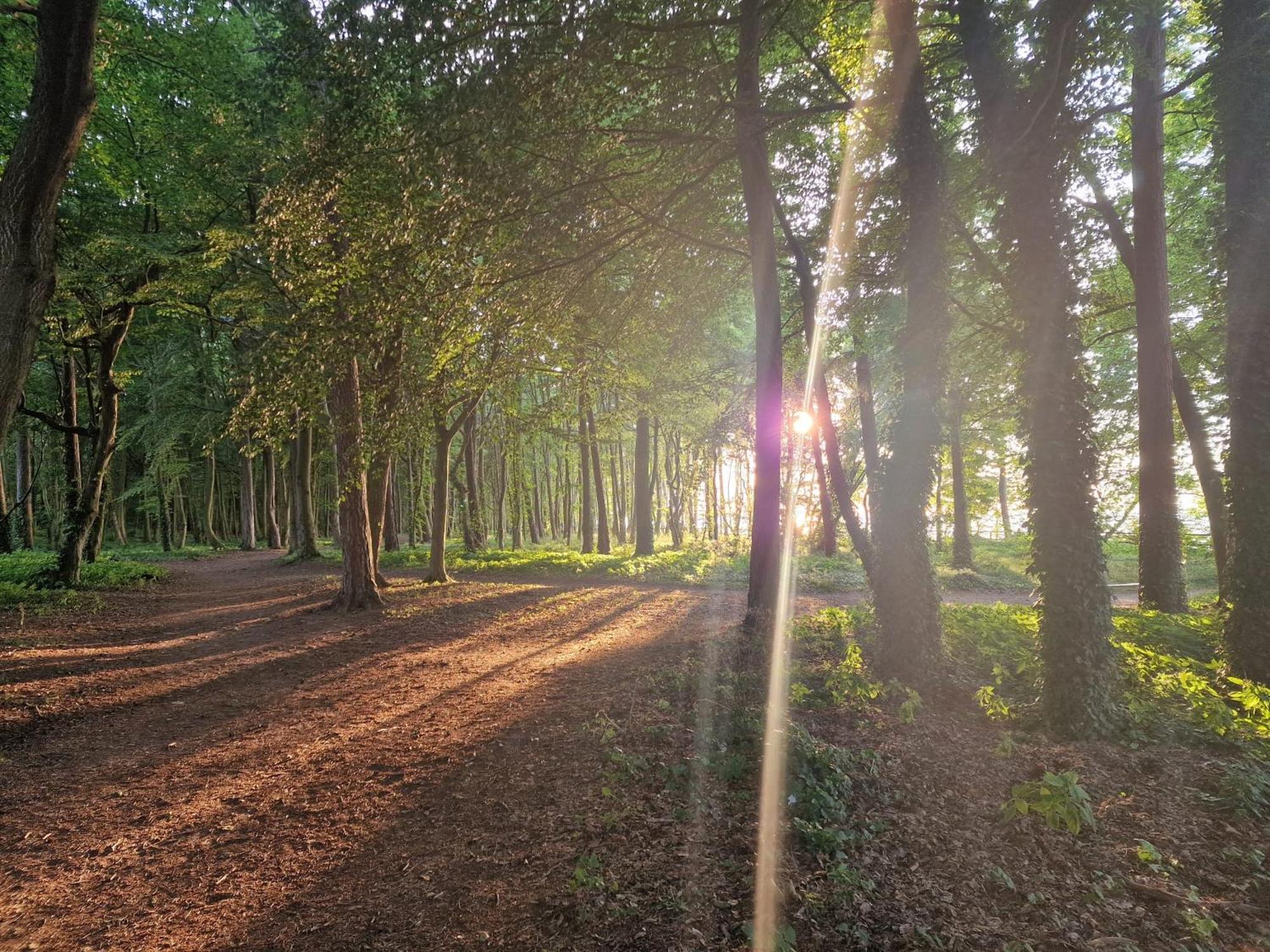 Osrodek Promenada- Domki Jastrzębia Góra Extérieur photo