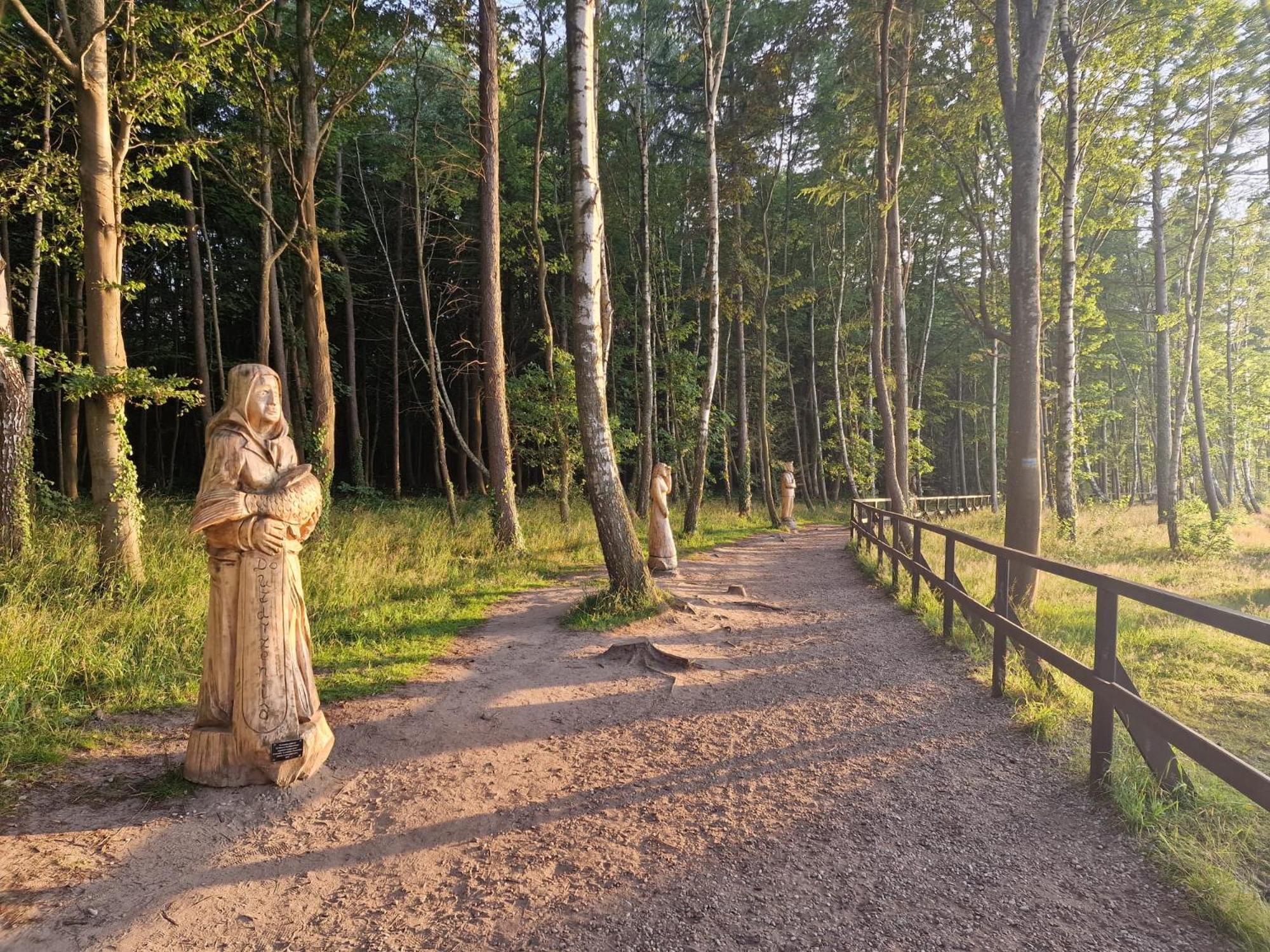 Osrodek Promenada- Domki Jastrzębia Góra Extérieur photo